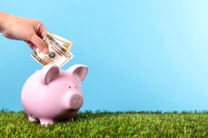 Piggy Bank savings
