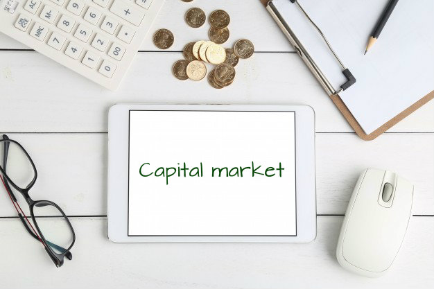 Understanding Capital market