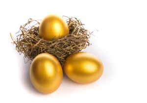 nest-with-golden-eggs_1232-809